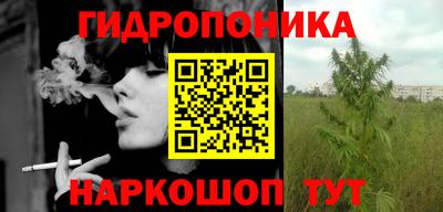 индика Ликино-Дулёво